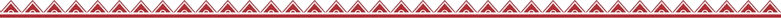 Tribal border bottom